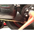 Carbonvani - Ducati Panigale V4 / S / R / Speciale Carbon Fiber Swingarm Guard - Competition Version Carbonvani - Ducati Panigale V4 / S / R / Speciale Carbon Fiber Swingarm Guard - Competition Version